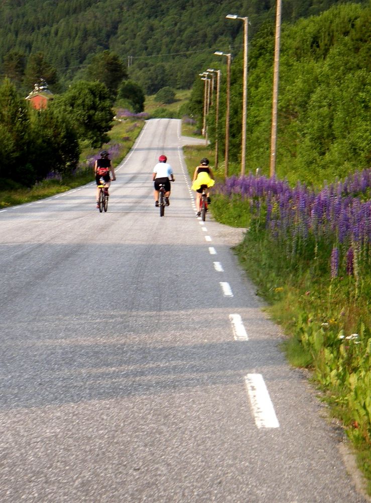 Jendemsfjellet Rundt