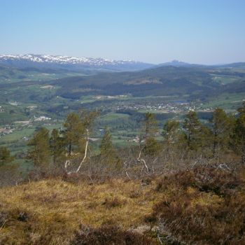 Duvåsen - (490 moh)