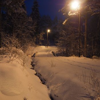 Lysløypa i Moldemarka