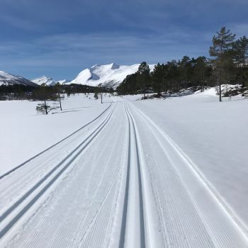 Storhaugen (Appelsinhaugen) på Nysætra    - Stikk Ut! Ski
