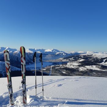 Hestehornet - skitur