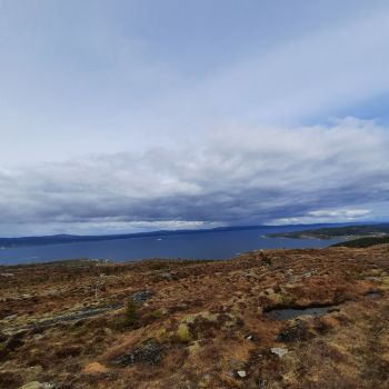 Bjørnskardliknubben på Skardsøya