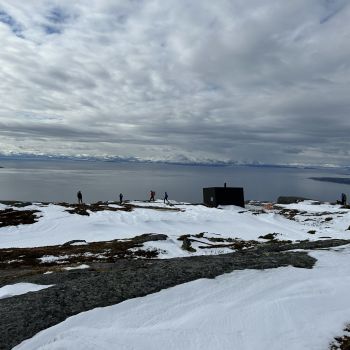 Midt -Troms Dyrøygommen