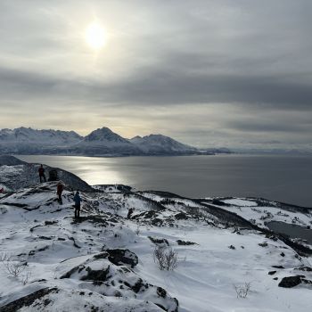 Midt - Troms Brenna