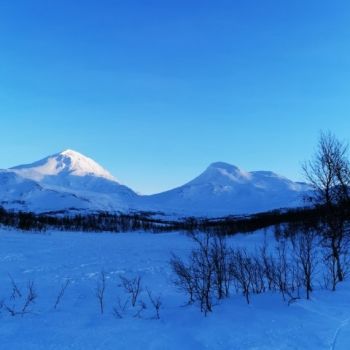 Midt-Troms Vintertur Brorstadvatnet