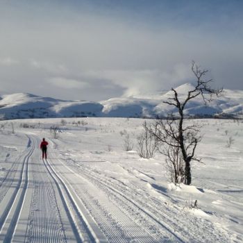 Midt-Troms Vintertur Sundlifjellet