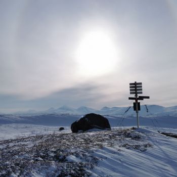 Midt-Troms Vintertur Berrskallen