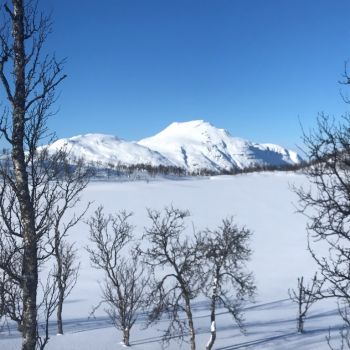 Midt-Troms Vintertur Sjuholmvatnet