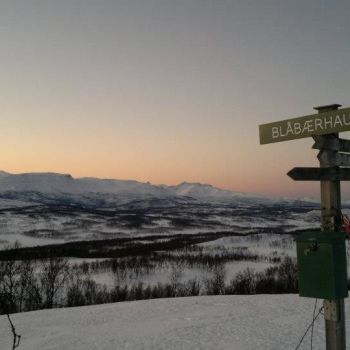 Midt-Troms Vintertur Blåbærhaugen